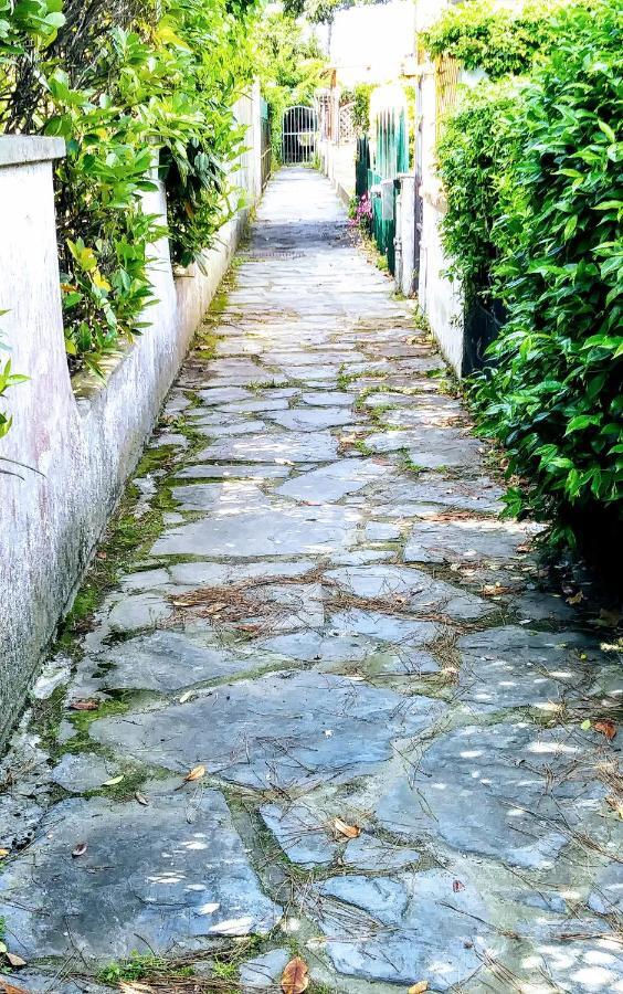 Villa Casa Tonfoni à Torre del Lago Puccini Extérieur photo